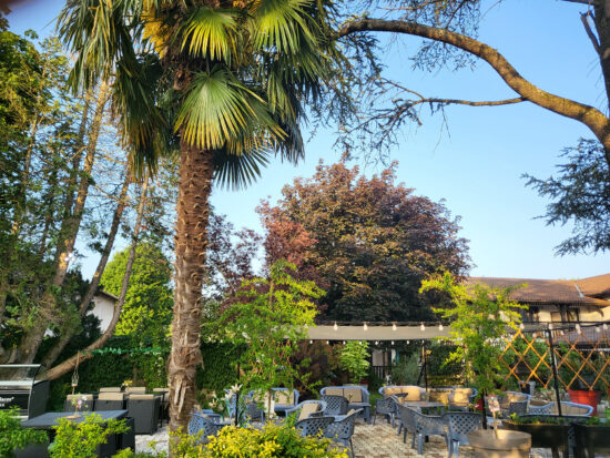 Jardin de l'hôtel